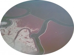 Salt Flats in SFBay